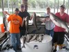 (08/18/2015) - Nice Striped Bass